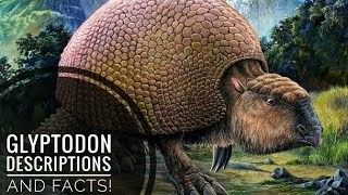 Glyptodon  Description and Facts [upl. by Malony]