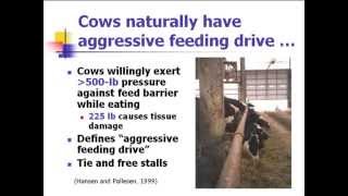 Managing cow behavior for profit and performance [upl. by Nuahsal983]