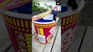 Can I swim in a giant instant noodle Brainopening stressrelieving interesting what is this [upl. by Tammany695]