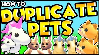 adopt me dupe pets hack 2024🤯 [upl. by Heady]