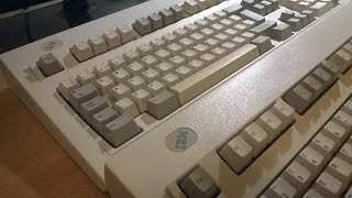 IBM Model M blue label v grey label keyboard sound comparison [upl. by Harty165]