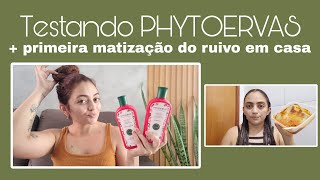 Resenha Phytoervas  primeira matização do ruivo em casa [upl. by Ainaj816]