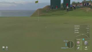 PGA Tour hole in one [upl. by Nugesulo]