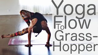 Vinyasa Flow Yoga for Balance to Grasshopper [upl. by Manfred]