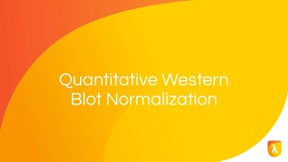 PreImmunodetection Membrane Staining  Normalization Strategies [upl. by Issi]