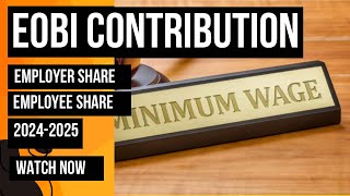 EOBI Contribution kya hai  Minimum Wage 20242025  eobi [upl. by Dustman]