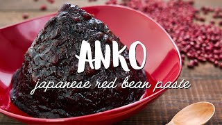 QUICK Japanese Red Bean Paste Recipe あんこ  Anko [upl. by Riancho533]