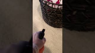 Angry Orange Pet Odor Eliminator [upl. by Novick]