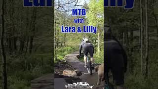 Cannock Chase famous Follow the dog MTB trails [upl. by Rosaleen377]