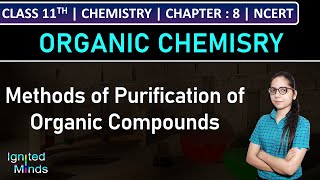 Isomerism and Types of Isomerism  Organic Chemistry  Class 11 Chemistry Chapter 8 [upl. by Enylcaj]