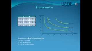 Teoria del Consumidor [upl. by Eradis]