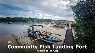 A walk to a community fish port  Himamaylan City Philippines  4K [upl. by Zashin]