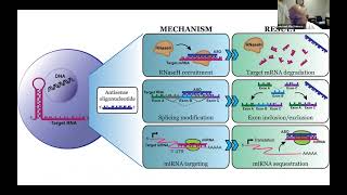 Grand rounds Inherited neuropathies and CMTD Dr Michael Shy Nov 18 2022 [upl. by Benis]