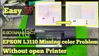 How to fix EPSON L3110 ink problemmissing colors [upl. by Lebaron]