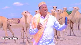 DHAANTO CUSUB  MUXIYADIIN SHAAHID  FARXIYA OFFICIAL MUSIC VIDEO2024 [upl. by Ong]