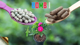 15 BEST NATURAL FERTILIZERS  CHOOSING ORGANIC FERTILIZER IN GARDENING [upl. by Remde1]