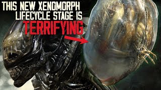 This NEW Xenomorph Lifecycle Stage Is TERRIFYING [upl. by Vokaay]