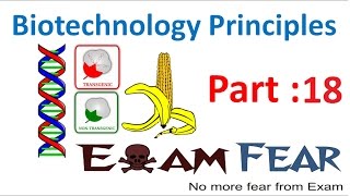 Biology Biotechnology Principles part 18 Amplification of gene of interest class 12 XII [upl. by Francene]