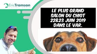 Salon du chiot et de chien le 22 et 23 Juin 2019 dans le Var [upl. by Massab962]