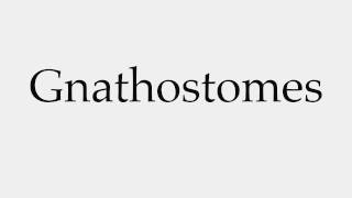 How to Pronounce Gnathostomes [upl. by Oetam10]