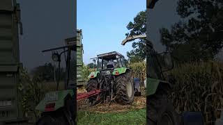 MF 5S 115 amp Deutz AgroXtra amp Valtra beim maisen🌽 [upl. by Jehovah]