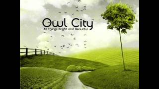 Owl City  Dreams Dont Turn to Dust [upl. by Narine]