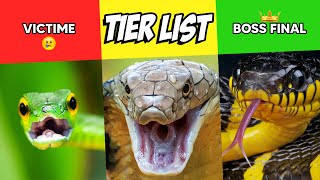 Quel est le SERPENT le plus dangereux du monde  TIER LIST [upl. by Charita791]