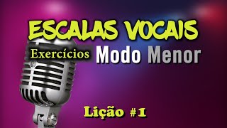 Técnica Vocal Iniciantes  Vocalizes Sobre Escalas  Modo menor [upl. by Annavaj]