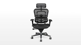 Ergohuman V2 Chair Review  Ergohumancom [upl. by Natanoy]