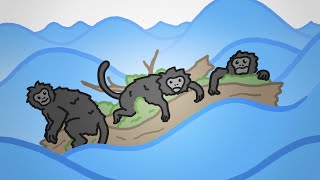 The WEIRD Way Monkeys Got to America [upl. by Adeehsar]