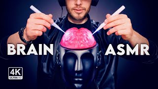 ASMR 8D Brain Tingles 🧠 Plus Ear Massage Gentle Triggers and More  Sleep Tingle Relax 4K [upl. by Pris]