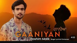 GAANAYAN NEW SONGnewsong VIiral songs Kashmiri songs [upl. by Akiemat286]