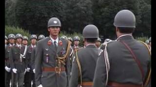 Official Parade in Vienna [upl. by Sitoeht157]