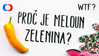 Co je ovoce a co zelenina  What the Fact [upl. by Ecylla]