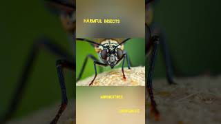 Harmful insectswildlifeapp [upl. by Savell]