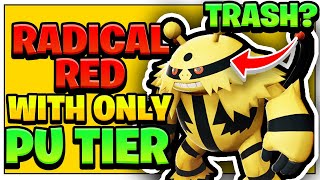 Can I Beat Pokemon Radical Red Using BELOW PU TIER POKEMONWORST POKEMON TIER [upl. by Annairdua]