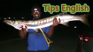 Can We Catch Fishes🐟🎣 Using Lures At Night Night Lure Fishing Tips [upl. by Ayekan575]