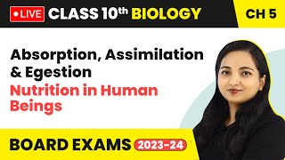 Absorption Assimilation amp Egestion  Nutrition in Human Beings  Class 10 Biology Chapter 5 LIVE [upl. by Wivinah797]