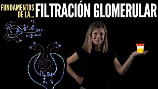 Nefrología III Filtración glomerular [upl. by Airdnahs]