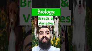 Breeds and Varieties  GCSE Science in a minute biology gcse stem selectivebreeding science [upl. by Amethyst670]