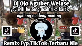 DJ OJO NGUBER WELASE YOU WILL BE SENG USAH RIKO KATEK NGALENGquot SOUND VIRAL TIKTOK TERBARU NIE ‼️ [upl. by Annoval]