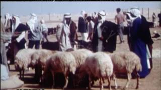 Beersheba Israel 1970s  Film 98930 [upl. by Mastic]