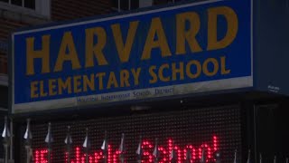 New principal at Harvard Elementary quits before first day after ‘extensive bullying’ [upl. by Far]