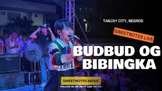 BUDBUD OG BIBINGKA  Max Surban  Sweetnotes Live  Tanjay City Negros [upl. by Burrill]