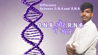 DNA और RNA में अंतर  Differences Between DNA and RNA  Wifi Book dna rna neet boardexam class [upl. by Naitsihc]