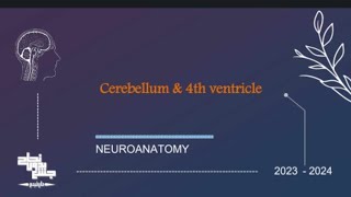 Cerebellum and 4th ventricle Neuroanatomy Sec 3 [upl. by Naylor]