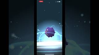 Evolve my nundo Koffing into Galarian Weezing in pokemongo [upl. by Yesteb]