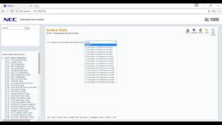 NEC SL1000 Configuration [upl. by Etiam419]