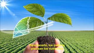 WUXAL  Aditivos en formulación foliar [upl. by Yaker]