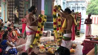 Malai Matrinal Kothai Mala Satrinal  Nagaswaram Desur Brothers SShanmugasundaram amp SSethuraman [upl. by Aniuqaoj]